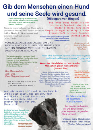 Hundeposter